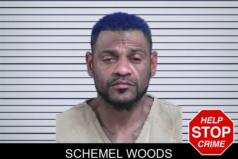 Schemel Woods mugshot