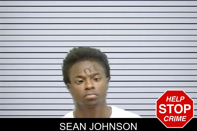 Sean Johnson mugshot