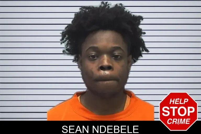 Sean Ndebele mugshot – Cherokee County , Georgia Sean Ndebele