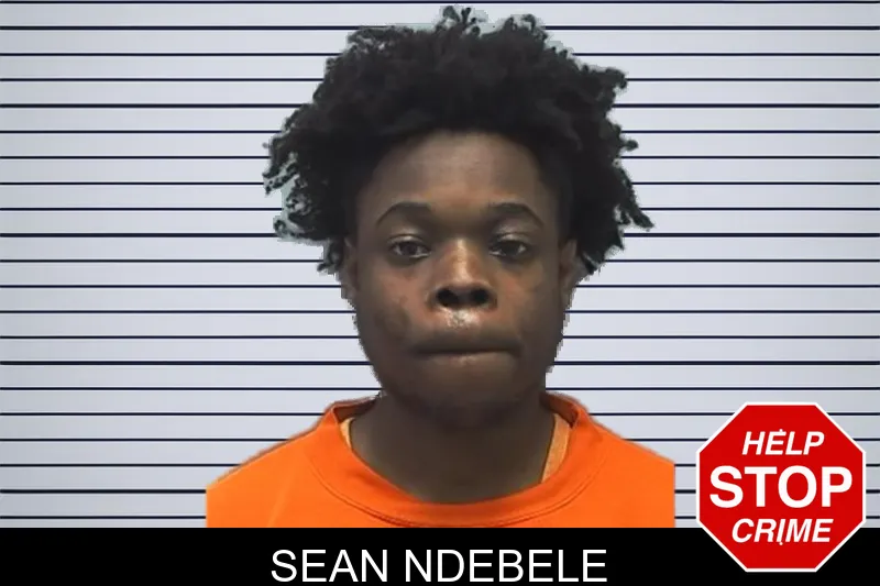 Sean Ndebele mugshot – Cherokee County , Georgia Sean Ndebele mugshot
