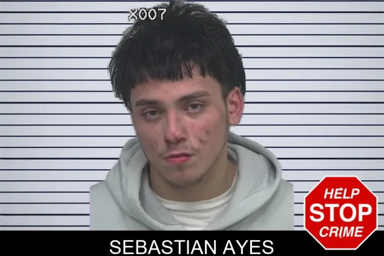 Sebastian Ayes mugshot – Gwinnett County , Georgia Sebastian Ayes