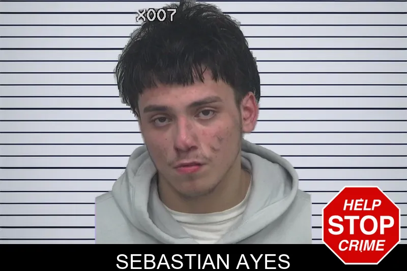 Sebastian Ayes mugshot