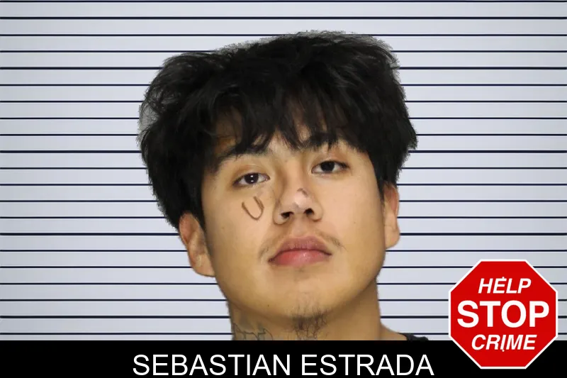 Sebastian Estrada mugshot
