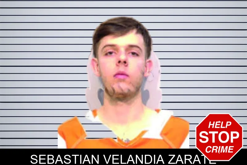 Sebastian Velandia Zarate mugshot