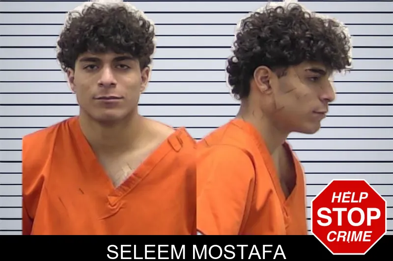 Seleem Mostafa mugshot