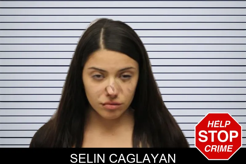 Selin Caglayan mugshot – Chatham County , Georgia Selin Caglayan mugshot