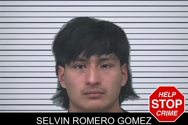 Selvin Romero Gomez mugshot