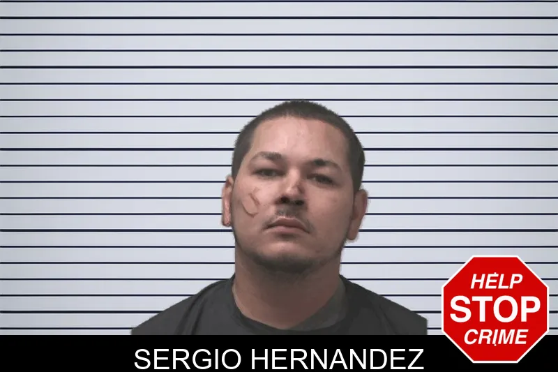 Sergio Hernandez mugshot