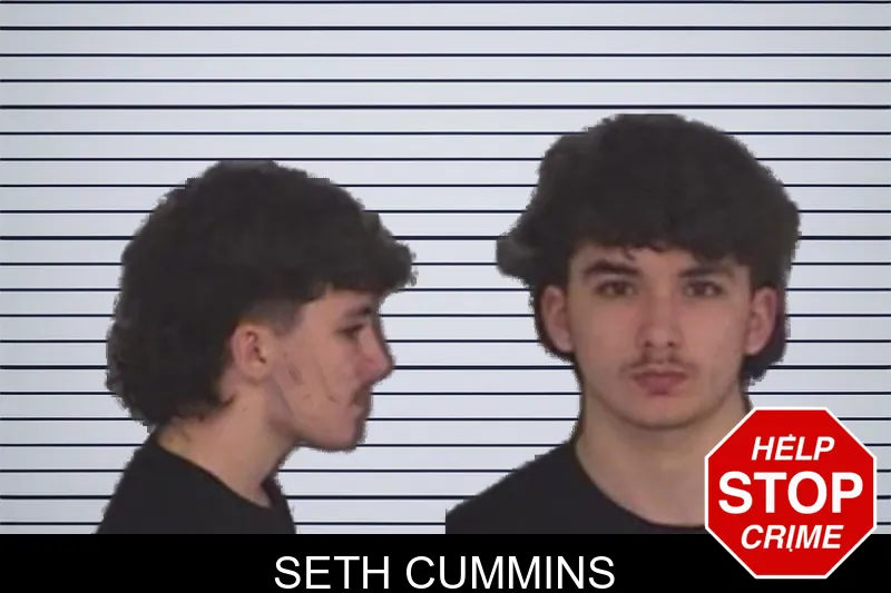 Seth Cummins mugshot