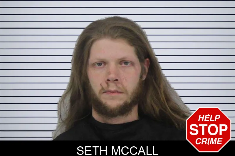 Seth McCall mugshot