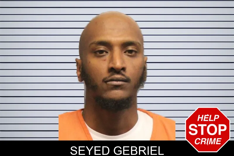 Seyed Gebriel mugshot