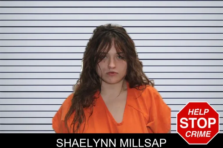 Shaelynn Millsap mugshot – Murray County , Georgia Shaelynn Millsap