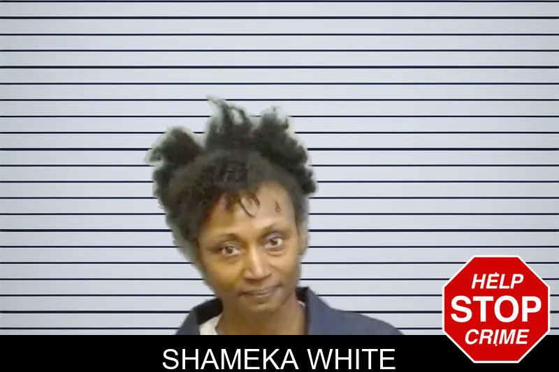 Shameka White mugshot