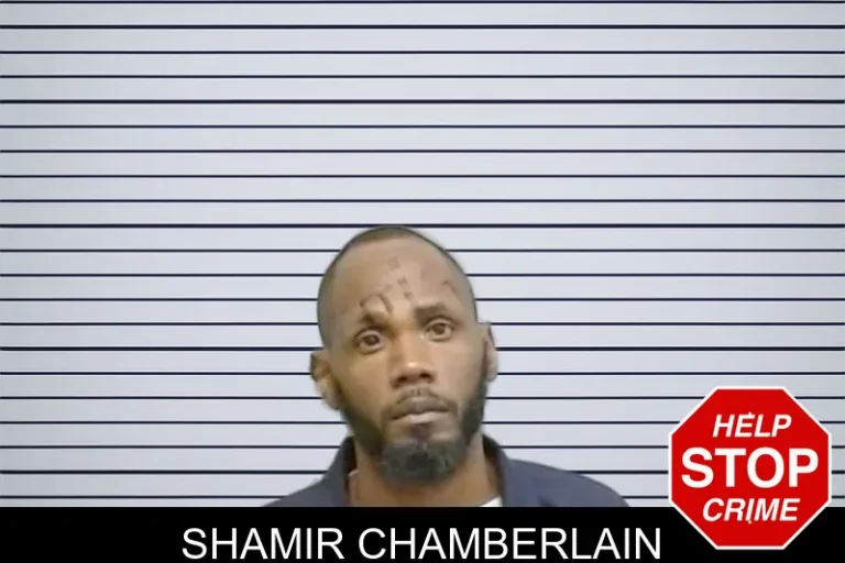 Shamir Chamberlain