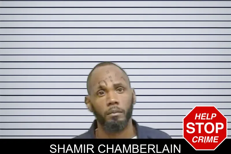 Shamir Chamberlain mugshot