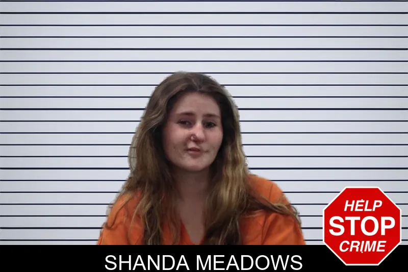 Shanda Meadows mugshot