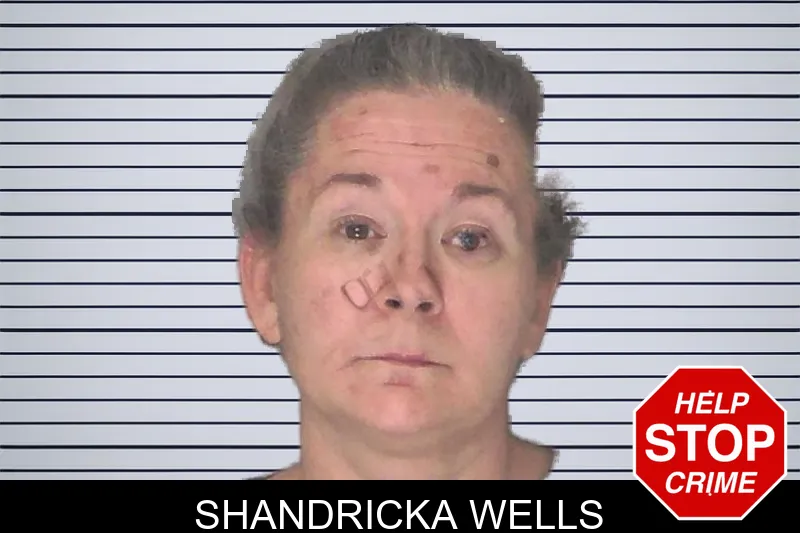 Shandricka Wells mugshot
