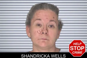 Shandricka Wells mugshot