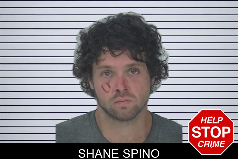 Shane Spino mugshot – Fayette County , Georgia Shane Spino mugshot