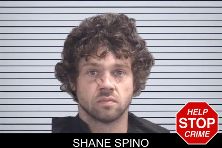 Shane Spino mugshot – Spalding County , Georgia Shane Spino