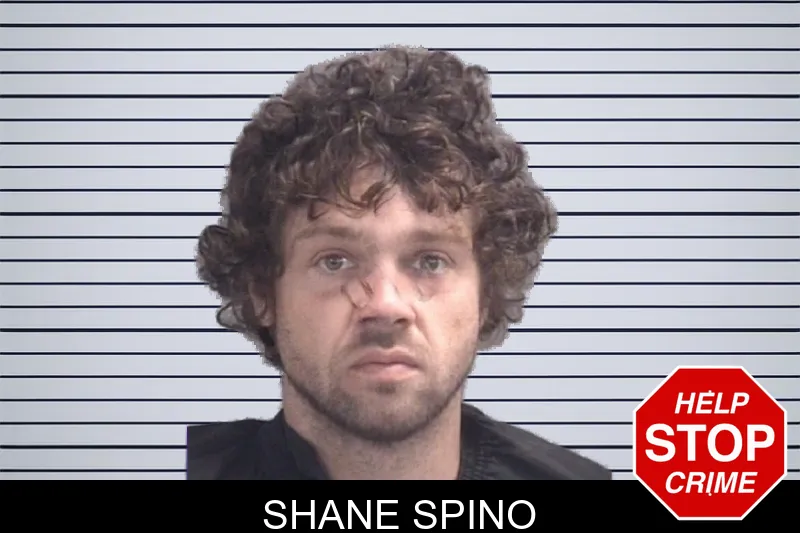 Shane Spino mugshot