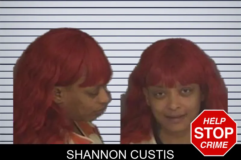 Shannon Custis mugshot – Barrow County , Georgia Shannon Custis mugshot