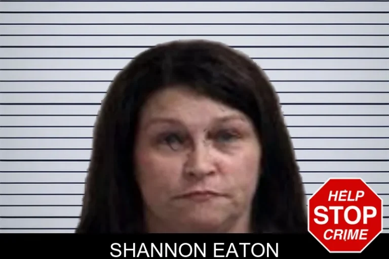 Shannon Eaton mugshot – Henry County , Georgia Shannon Eaton