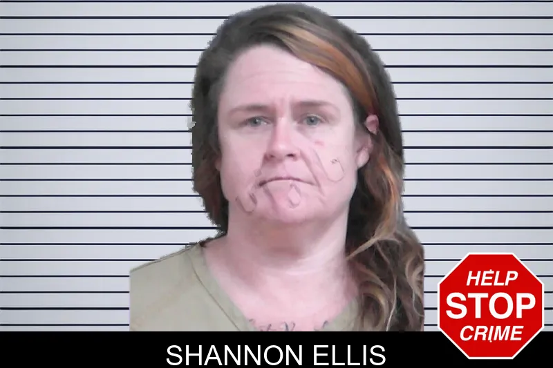Shannon Ellis mugshot – Gordon County , Georgia Shannon Ellis mugshot