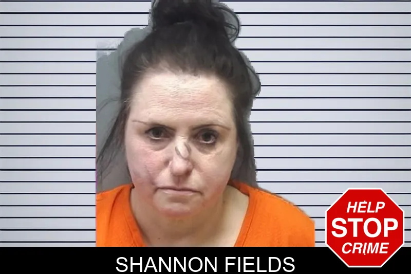 Shannon Fields mugshot