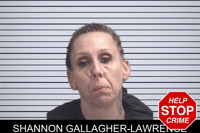 Shannon Gallagher-Lawrence mugshot