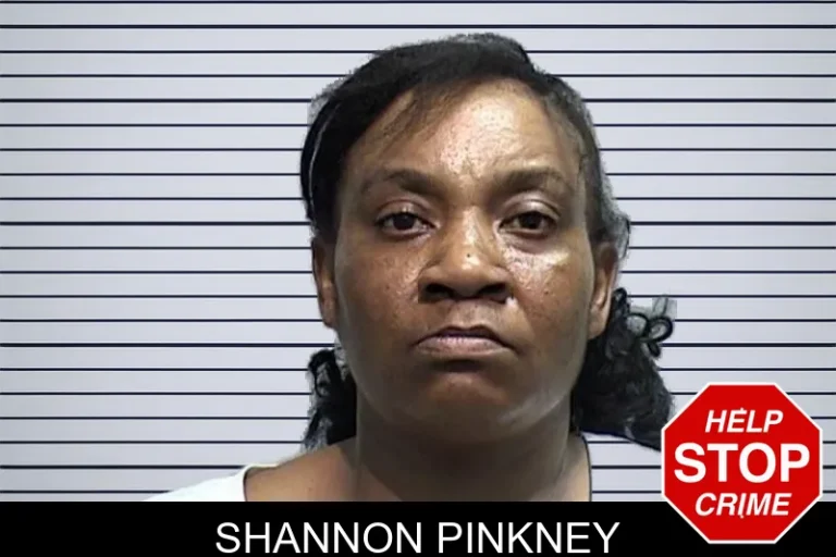 Shannon Pinkney mugshot – Effingham County , Georgia Shannon Pinkney