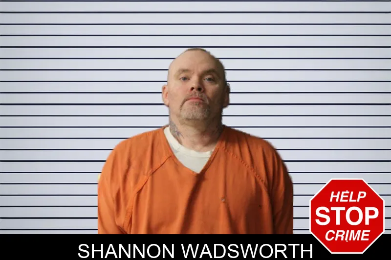 Shannon Wadsworth mugshot