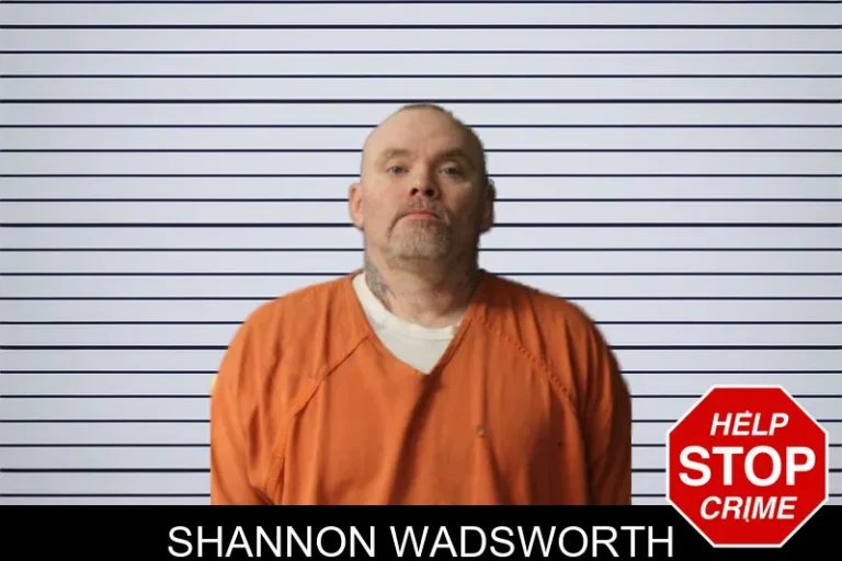 Shannon Wadsworth mugshot – Lumpkin County , Georgia Shannon Wadsworth