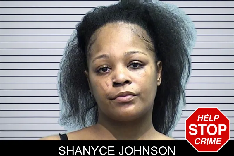 Shanyce Johnson mugshot – Effingham County , Georgia Shanyce Johnson mugshot