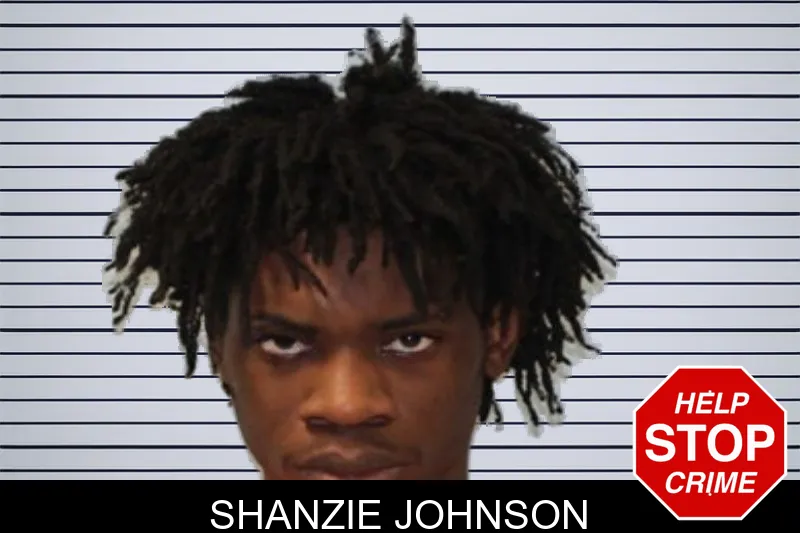 Shanzie Johnson mugshot