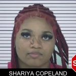 Shariya Copeland mugshot – Fayette County , Georgia Shariya Copeland mugshot