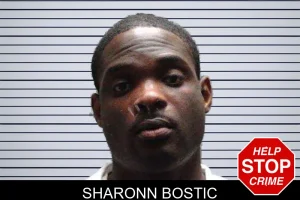Sharonn Bostic mugshot