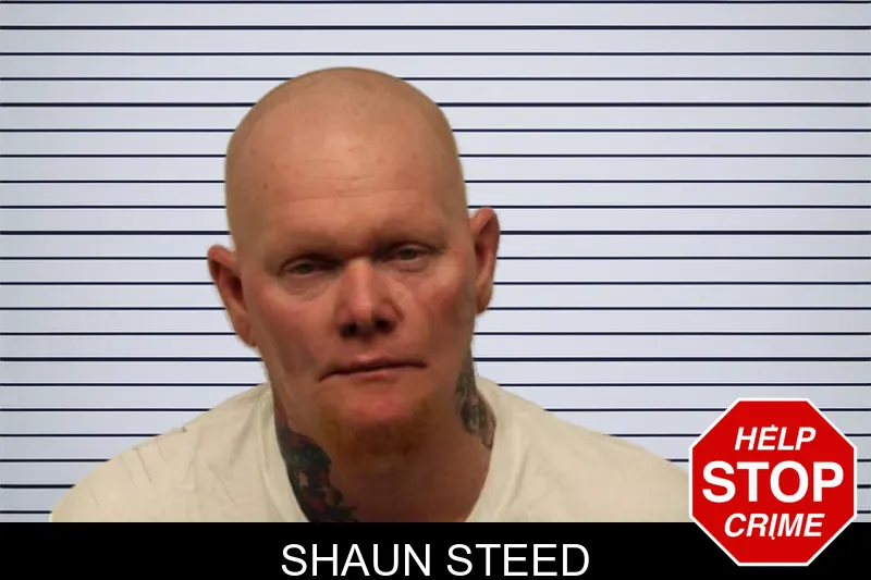 Shaun Steed mugshot