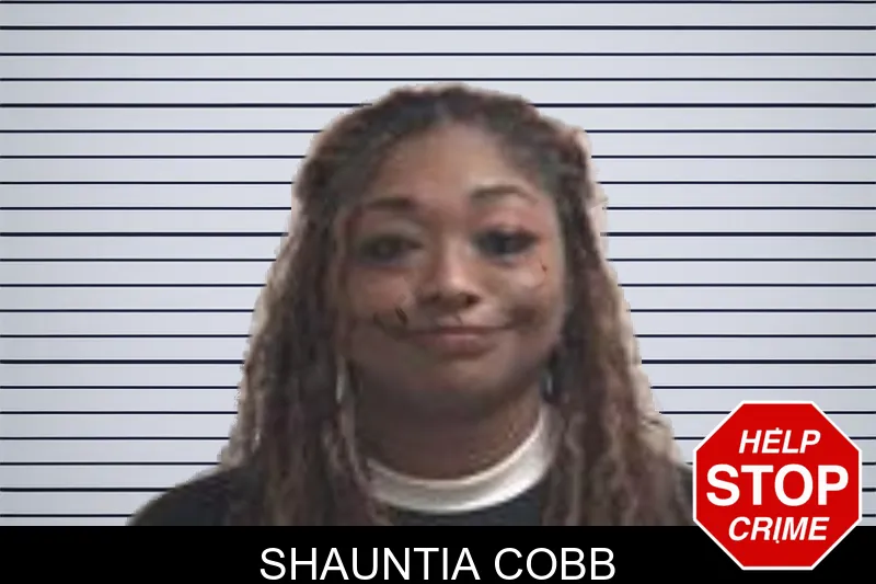 Shauntia Cobb mugshot – Henry County , Georgia Shauntia Cobb mugshot