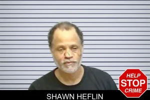 Shawn Heflin mugshot