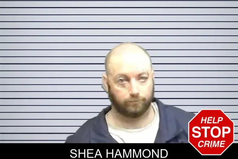 Shea Hammond