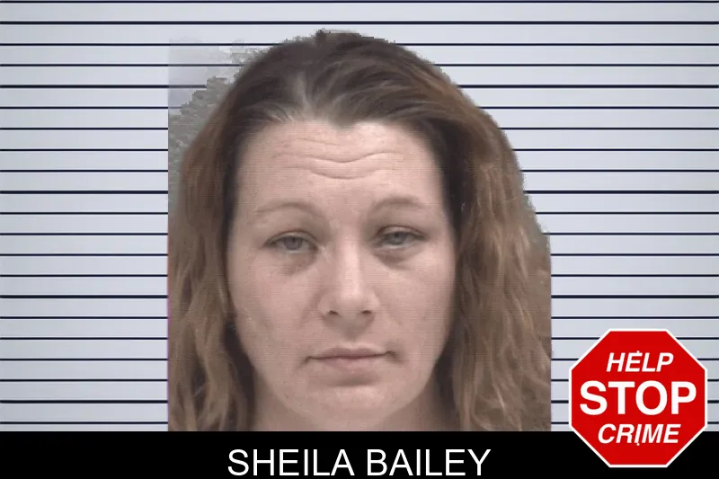 Sheila Bailey mugshot