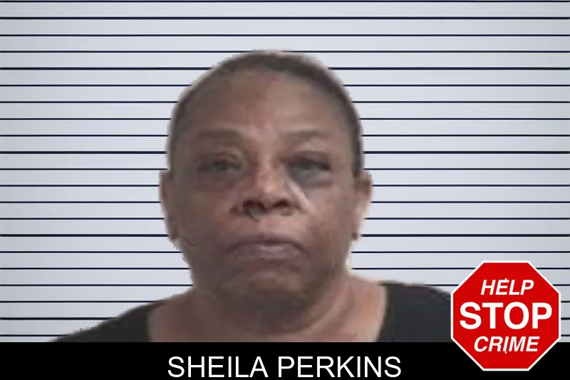 Sheila Perkins mugshot