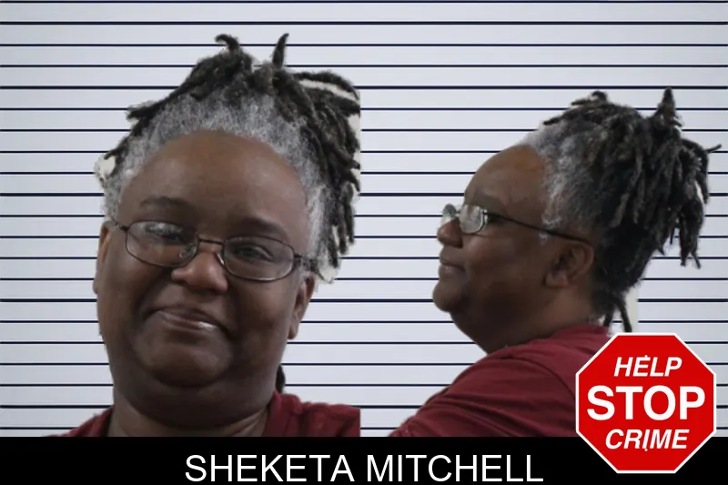 Sheketa Mitchell mugshot