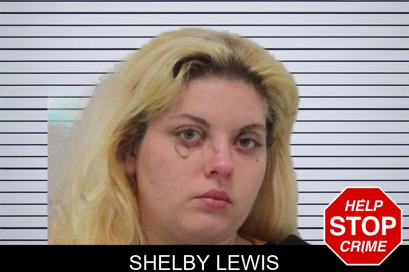 Shelby Lewis mugshot
