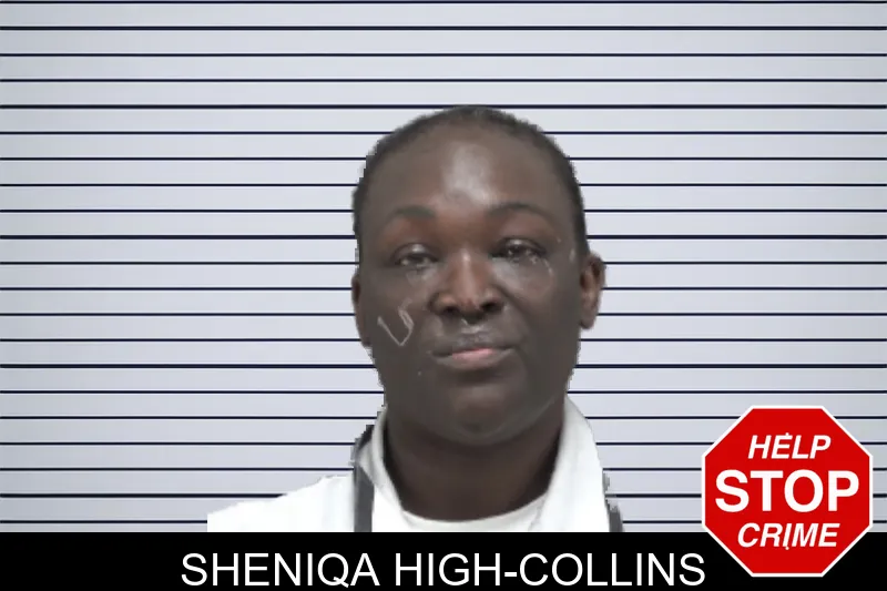 Sheniqa High-Collins mugshot