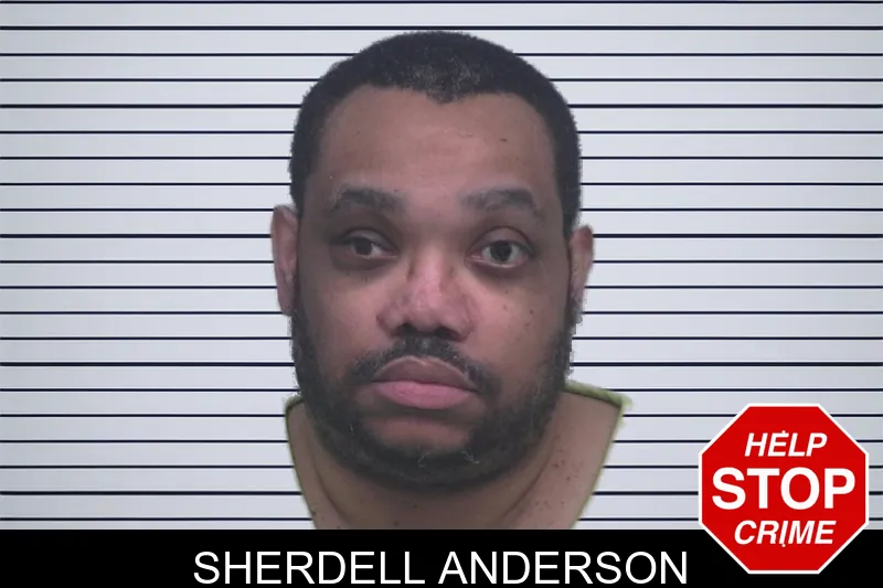 Sherdell Anderson mugshot – Gwinnett County , Georgia Sherdell Anderson mugshot
