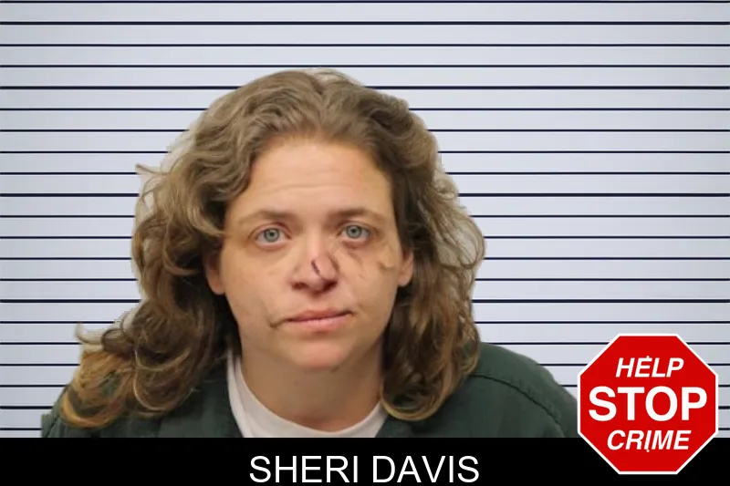 Sheri Davis mugshot