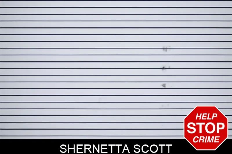 Shernetta Scott mugshot