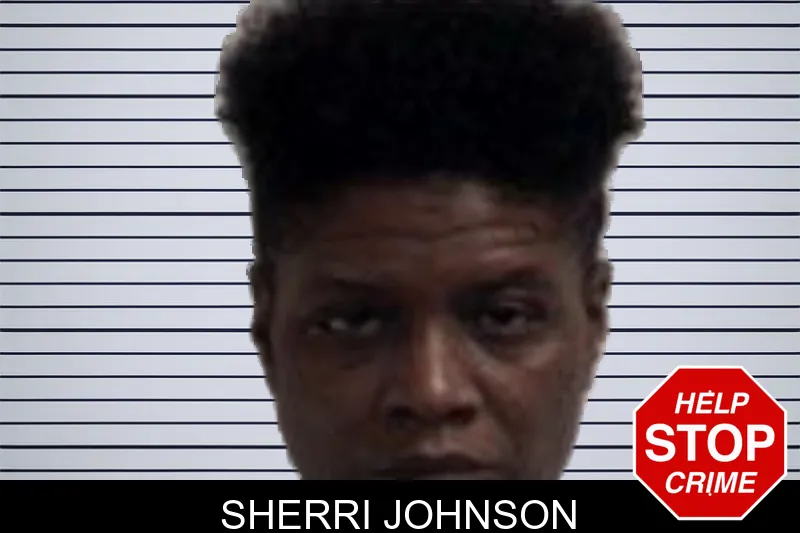 Sherri Johnson mugshot – Henry County , Georgia Sherri Johnson mugshot